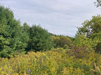 Ranch Property for sale in Oneida County, New York