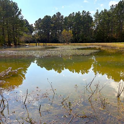 Hunting Land for sale in Leon County, Texas
