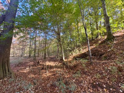 Hunting Land for sale in Clarke County, Alabama