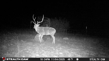 Farm Property for sale in Edwards County, Texas