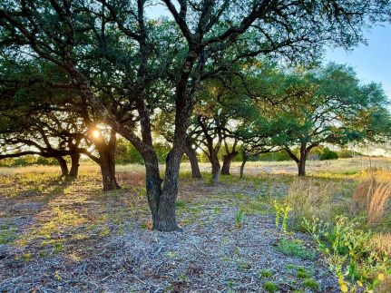 Recreational Property for sale in Coryell County, Texas