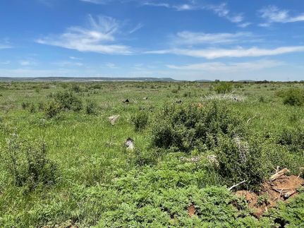 Property for sale in Taylor County, Texas