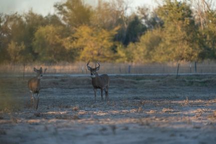 Property for sale in Reno County, Kansas