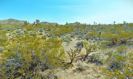 Farm Property for sale in Mohave County, Arizona