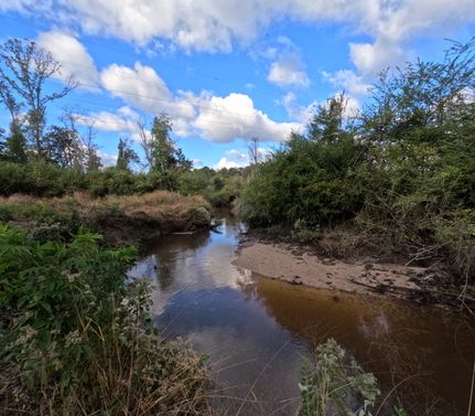 Property for sale in Covington County, Mississippi