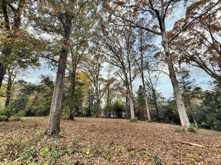 Undeveloped Land for sale in Monroe County, Georgia