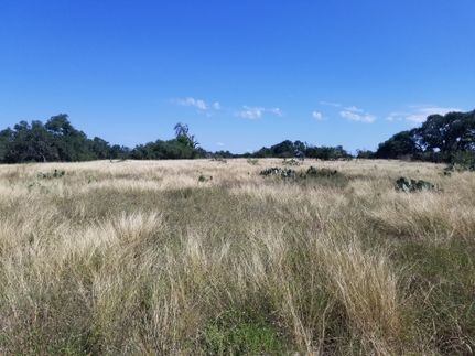 Ranch Property for sale in Kendall County, Texas