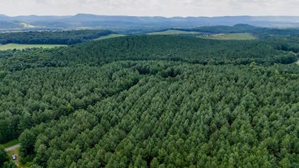 Property for sale in Chattooga County, Georgia