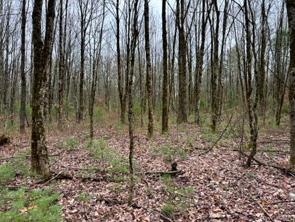 Property for sale in Oneida County, New York