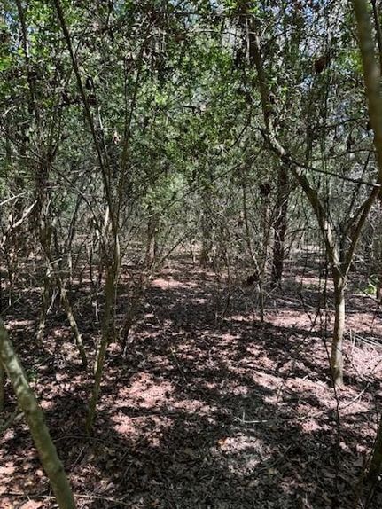 Property for sale in Bastrop County, Texas