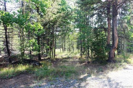 Undeveloped Land for sale in Clear Creek County, Colorado