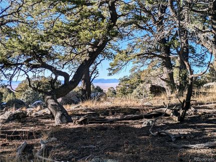 Undeveloped Land for sale in Saguache County, Colorado