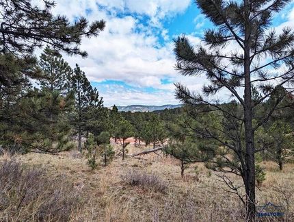 Property for sale in Custer County, South Dakota