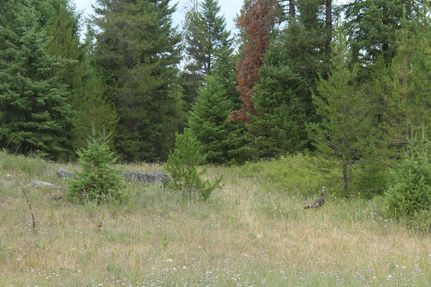 Property for sale in Pend Oreille County, Washington