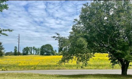 Property for sale in Walker County, Alabama