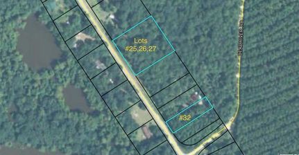 Undeveloped Land for sale in Montgomery County, Georgia