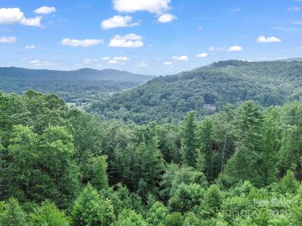 Property for sale in Henderson County, North Carolina