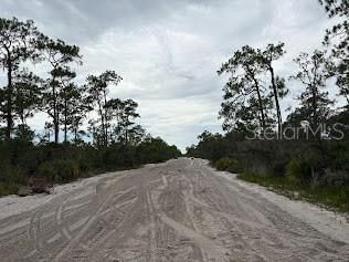 Undeveloped Land for sale in Highlands County, Florida