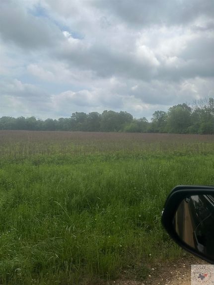 Undeveloped Land for sale in Sevier County, Arkansas