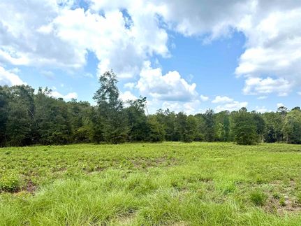 Property for sale in Covington County, Alabama