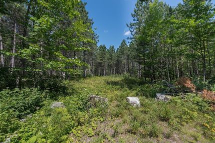 Undeveloped Land for sale in Oneida County, Wisconsin