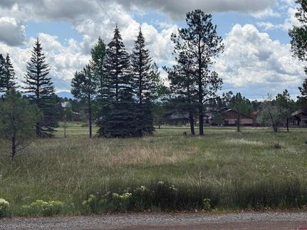 Undeveloped Land for sale in Archuleta County, Colorado