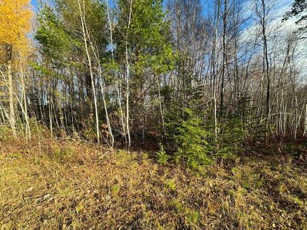 Property for sale in Penobscot County, Maine
