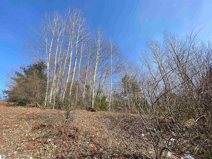 Undeveloped Land for sale in Grand Traverse County, Michigan