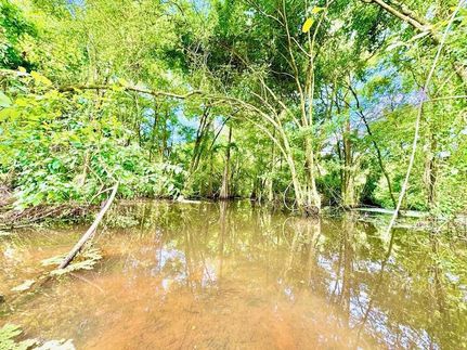 Undeveloped Land for sale in Sabine County, Texas