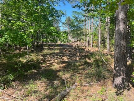 Property for sale in Polk County, Texas