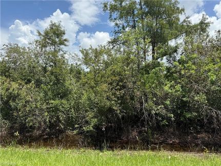 Undeveloped Land for sale in Collier County, Florida