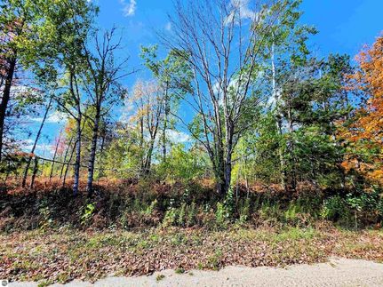 Undeveloped Land for sale in Antrim County, Michigan