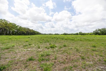 Undeveloped Land for sale in Alachua County, Florida
