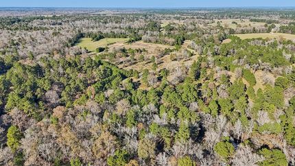 Undeveloped Land for sale in Trinity County, Texas