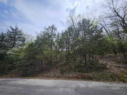 Property for sale in Taney County, Missouri