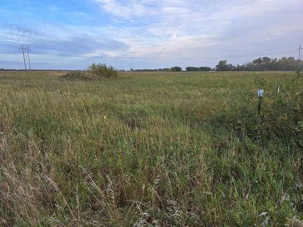 Undeveloped Land for sale in Norman County, Minnesota