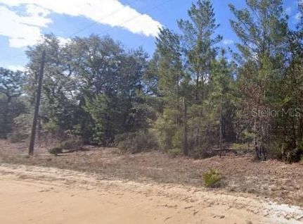 Undeveloped Land for sale in Putnam County, Florida