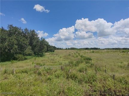 Undeveloped Land for sale in Lee County, Florida