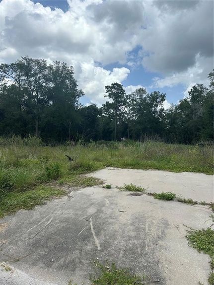 Undeveloped Land for sale in Orange County, Florida