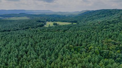 Undeveloped Land for sale in Chattooga County, Georgia
