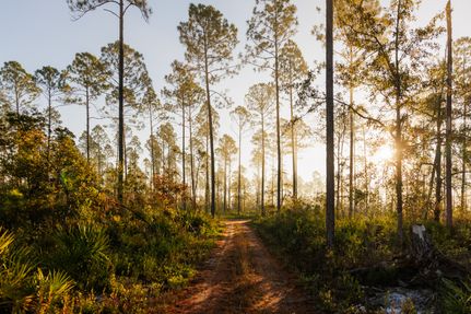 Recreational Property for sale in Lowndes County, Georgia