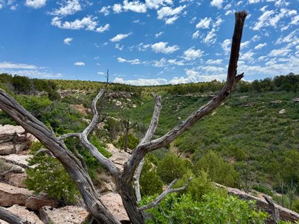 Undeveloped Land for sale in Dolores County, Colorado