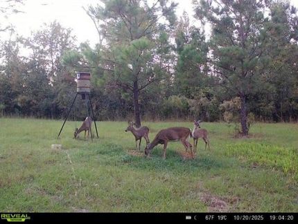 Farm Property in Madison County, Florida