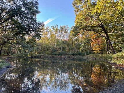 Property for sale in Bond County, Illinois