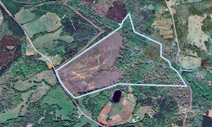 Timberland Property for sale in Greenville County, South Carolina