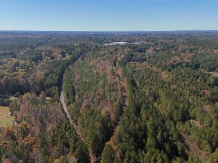Hunting Land for sale in Lee County, North Carolina