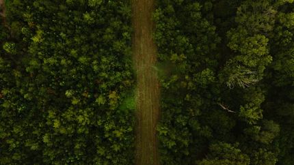 Property for sale in Lincoln Parish, Louisiana