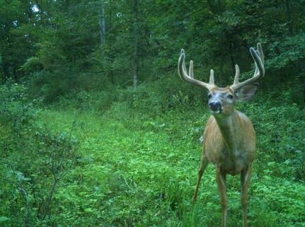 Residential Property for sale in Richland County, Wisconsin