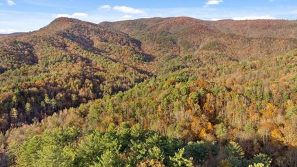 Property for sale in Gilmer County, Georgia