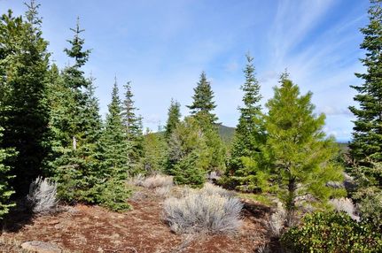 Hunting Land for sale in Modoc County, California